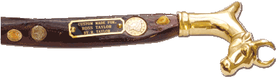 Ross Taylor Custom Bull Cane
